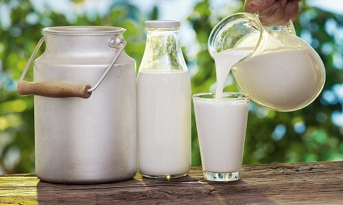 Các loại sữa dành cho người thoát vị đĩa đệm